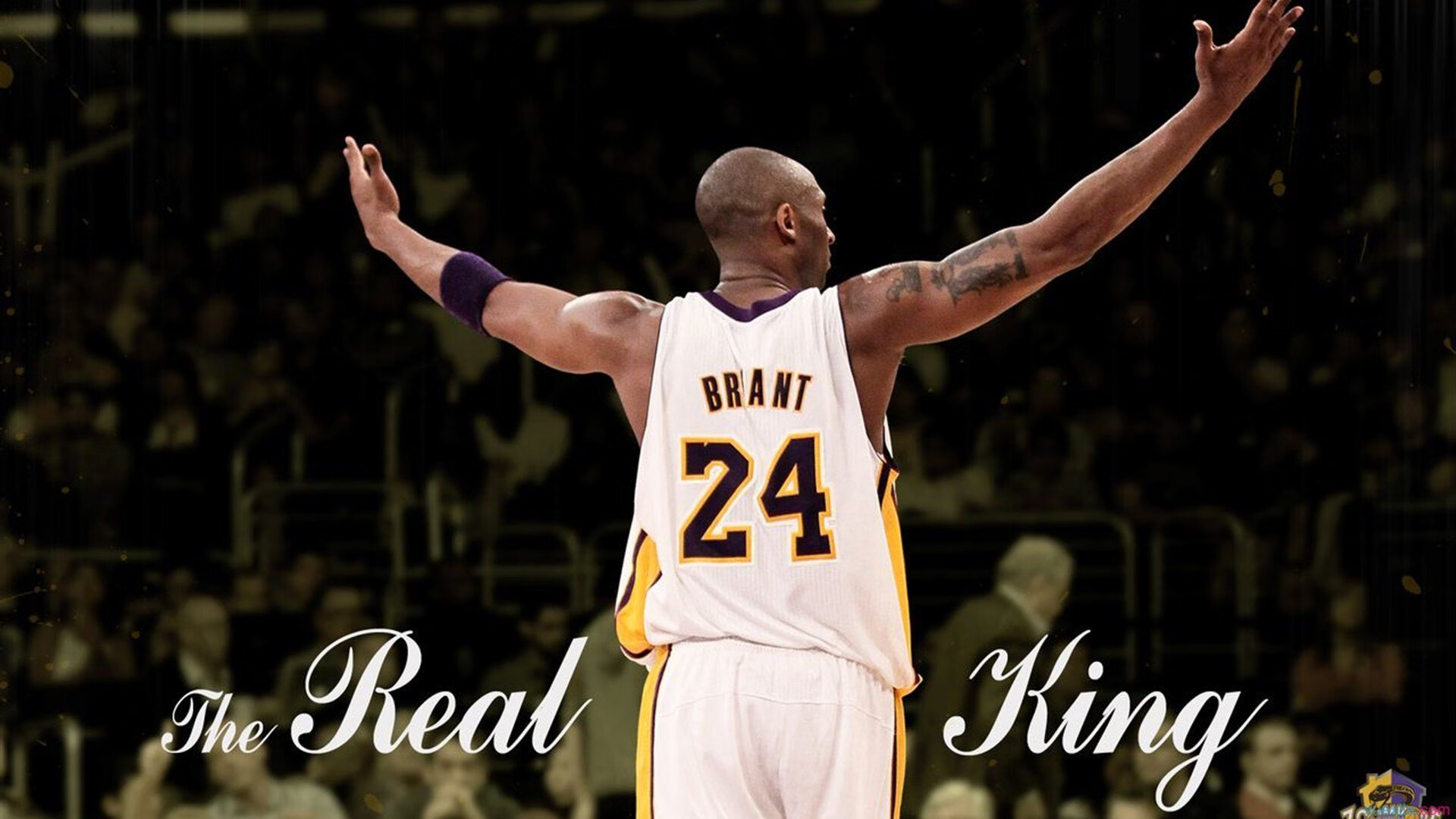 nba赛季最高胜场